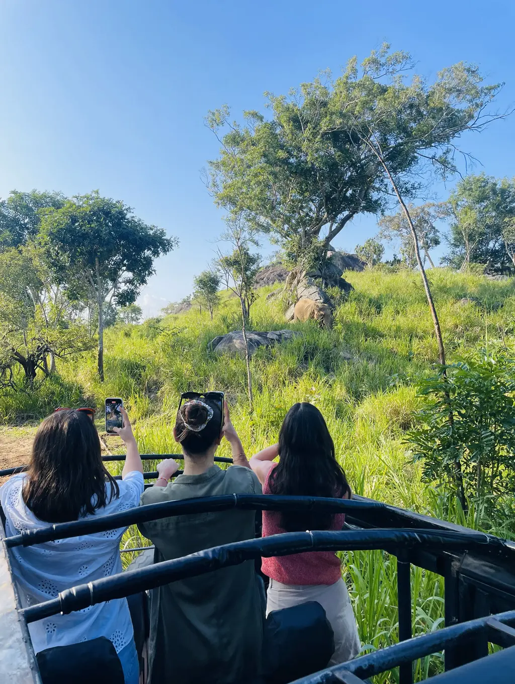 EleeWay Safari Elephant Encounter