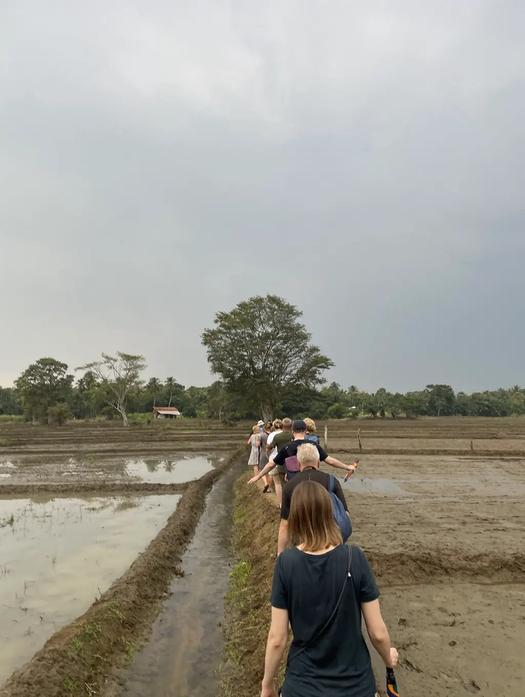 Traditional Village Tour Experience